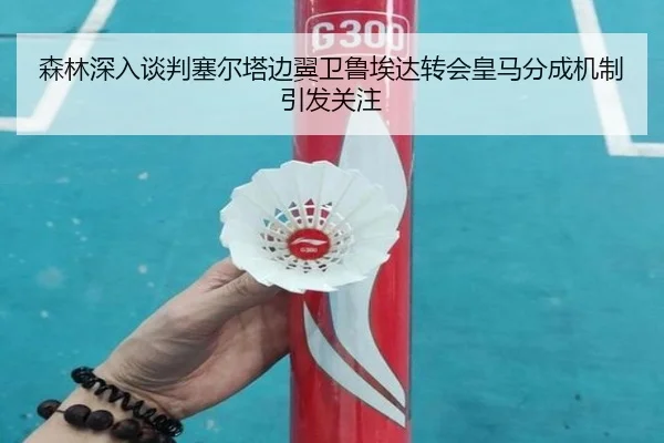 森林深入谈判塞尔塔边翼卫鲁埃达转会皇马分成机制引发关注